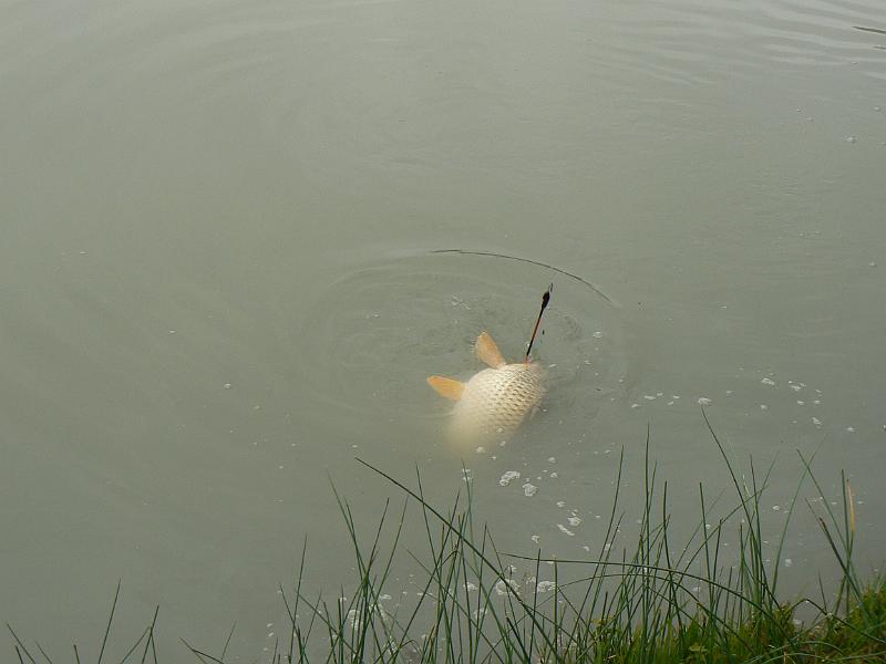 Horgaszverseny_2009_11