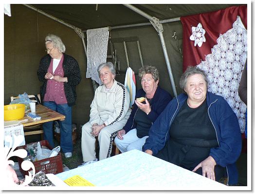 FALUNAP_2008_010