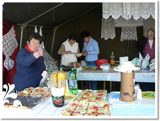 FALUNAP_2008_011