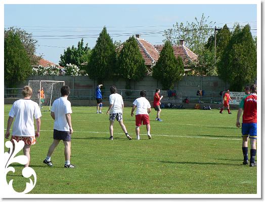 FALUNAP_2008_013
