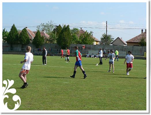FALUNAP_2008_014