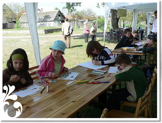 FALUNAP_2008_025