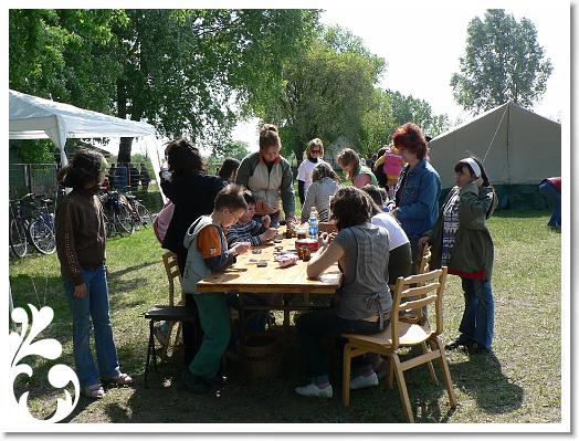 FALUNAP_2008_029