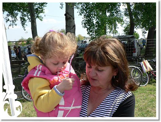 FALUNAP_2008_030