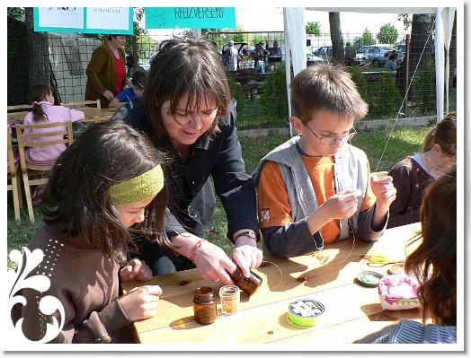 FALUNAP_2008_035
