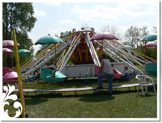 FALUNAP_2008_044