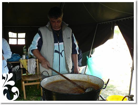 FALUNAP_2008_055