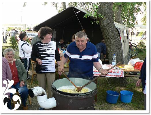 FALUNAP_2008_059