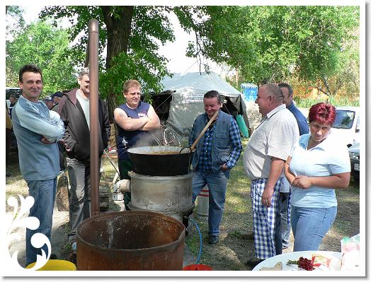 FALUNAP_2008_062