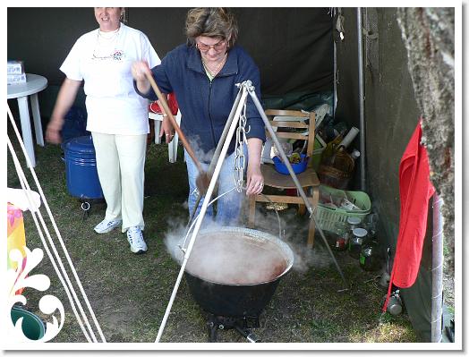 FALUNAP_2008_067