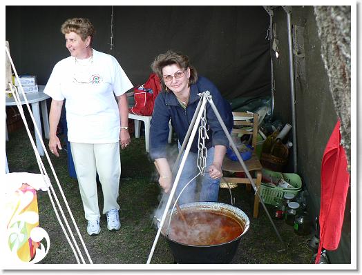 FALUNAP_2008_068