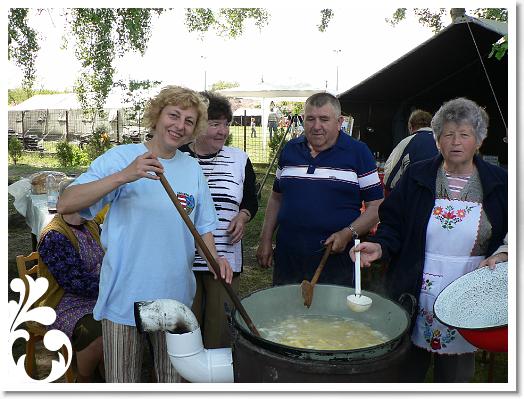 FALUNAP_2008_071