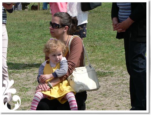 FALUNAP_2008_087