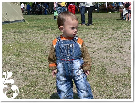 FALUNAP_2008_121