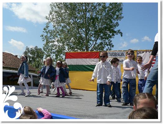 FALUNAP_2008_134