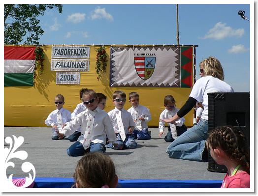 FALUNAP_2008_137