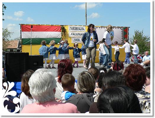 FALUNAP_2008_138