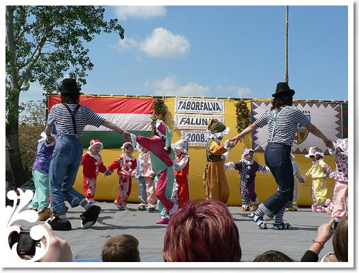FALUNAP_2008_143
