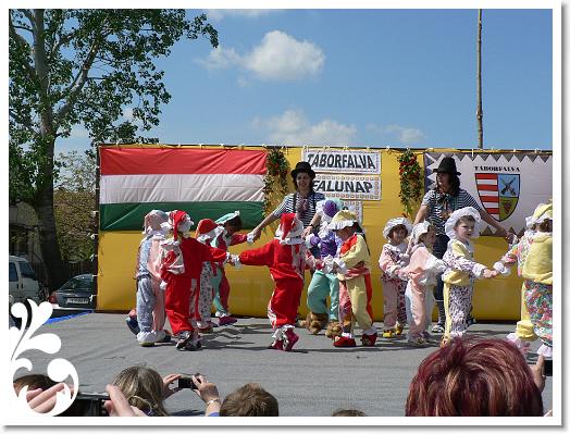 FALUNAP_2008_144