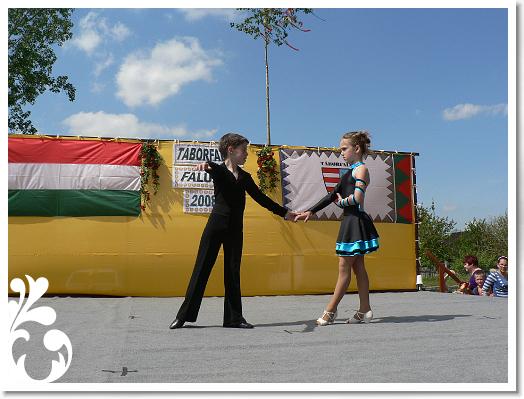 FALUNAP_2008_150