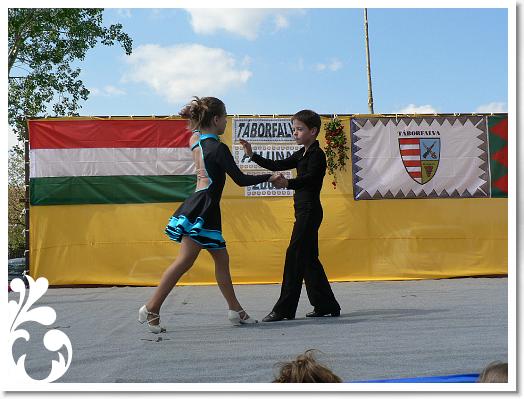FALUNAP_2008_152