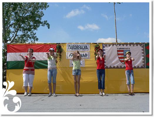 FALUNAP_2008_159