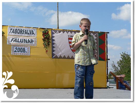 FALUNAP_2008_161