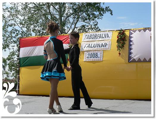 FALUNAP_2008_162
