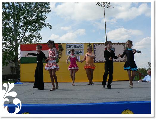 FALUNAP_2008_185