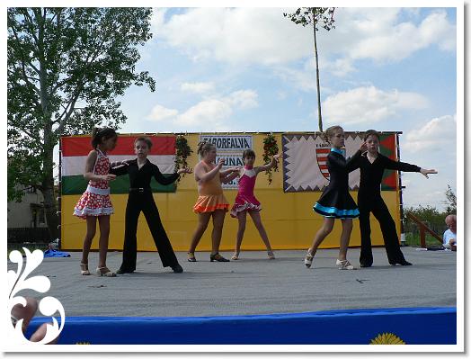 FALUNAP_2008_186