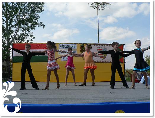 FALUNAP_2008_188