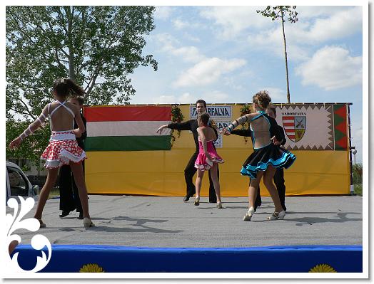 FALUNAP_2008_192