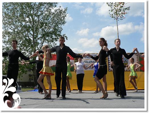 FALUNAP_2008_198