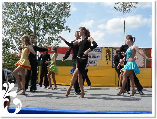 FALUNAP_2008_199
