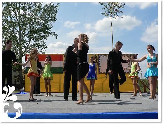 FALUNAP_2008_200