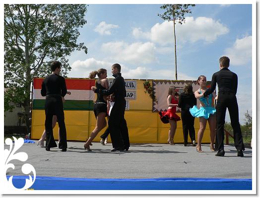 FALUNAP_2008_202