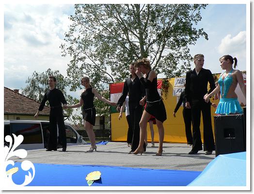 FALUNAP_2008_206