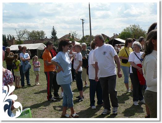 FALUNAP_2008_210