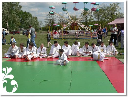 FALUNAP_2008_220