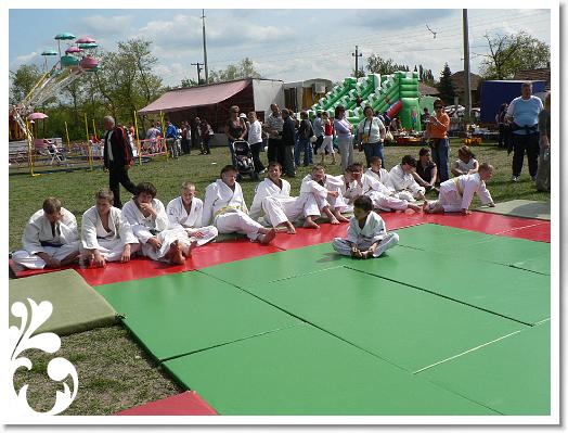 FALUNAP_2008_221