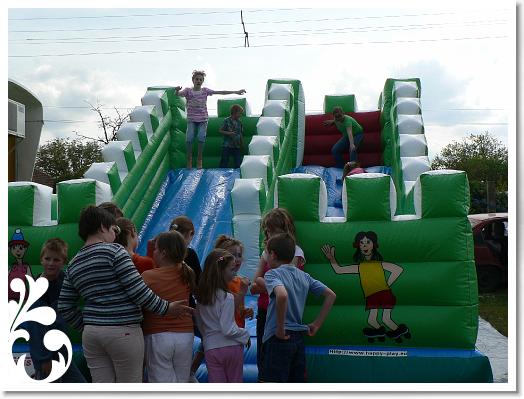 FALUNAP_2008_225