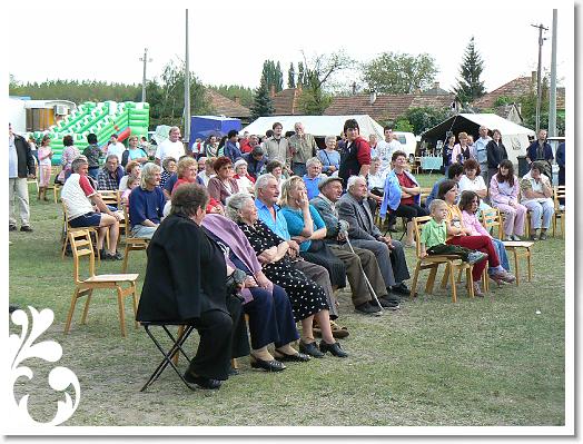 FALUNAP_2008_245