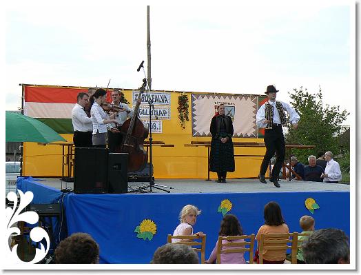FALUNAP_2008_247