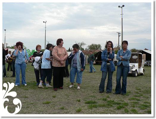 FALUNAP_2008_248