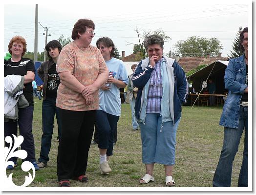 FALUNAP_2008_250