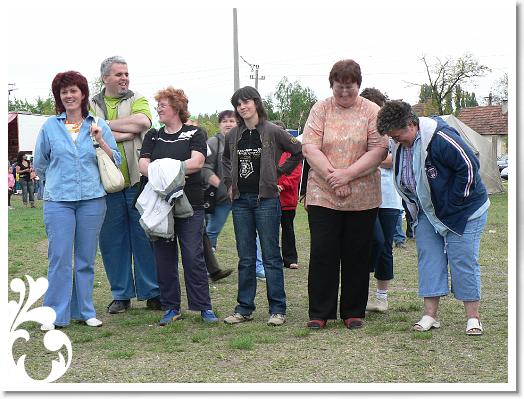FALUNAP_2008_255