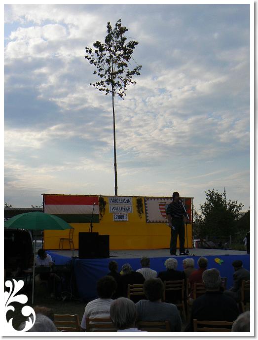 FALUNAP_2008_264
