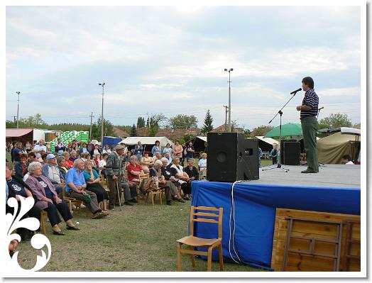 FALUNAP_2008_271