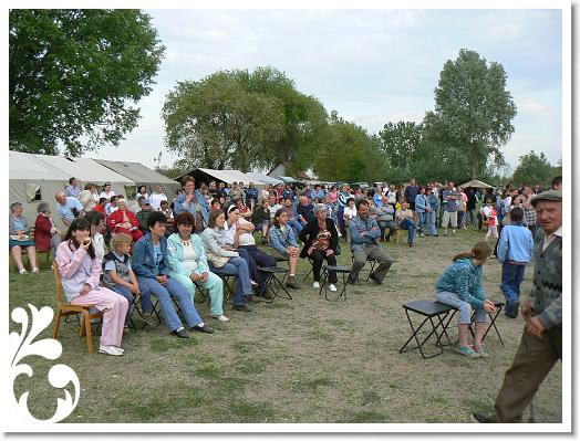 FALUNAP_2008_272