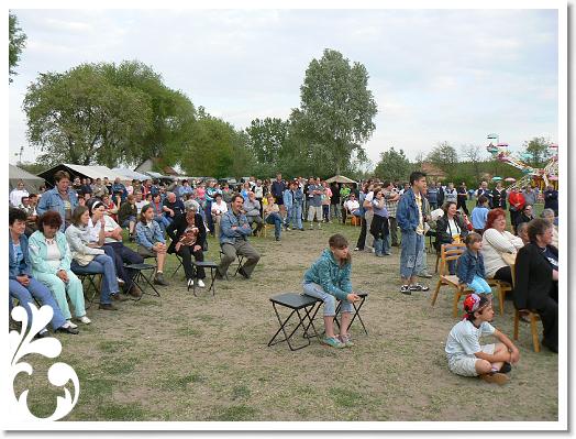 FALUNAP_2008_273